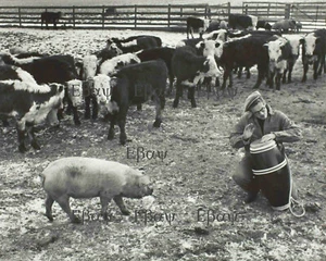 James Dean playing the bongo 8X10 Photo Reprint - Picture 1 of 1