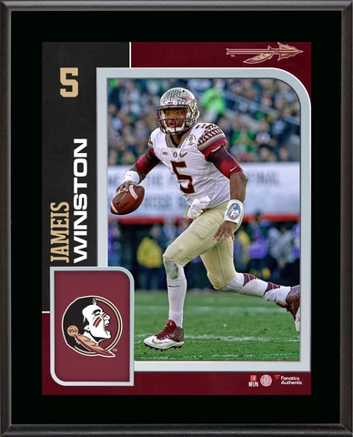 Jameis Winston Seminoles 10.5x13 Player Plaque - Fanatics Authentic Cover