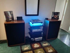 Piattaforma di isolamento vibrazioni con piedini in TPE/sorbothane per TECHNICS SL-100C - Foto 1 di 20