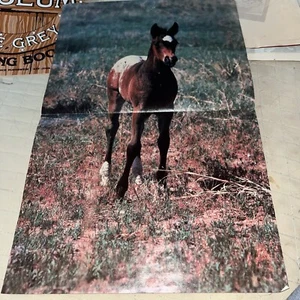 Vintage Troll Bücher Magazin 1981 Poster Pony Pferde 11” x 17” - Bild 1 von 8