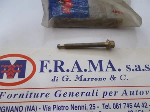 VITE REGOLAZIONE PROIETTORE 127-128-DUCATO- 4259481 - NUOVO ORIGINALE - Imagen 1 de 5