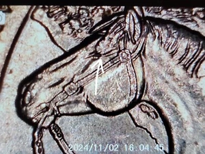 2016 P Theodore Roosevelt North Dakota Quarter Die Chip Horse REF#0044 - Picture 1 of 4