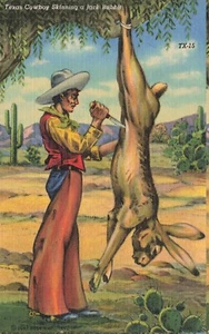 Texas Cowboy Skinning A Jack Rabbit Postcard - Picture 1 of 2