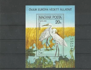 CA 1405.Hungary 1980. Animals MNH Block - Picture 1 of 1
