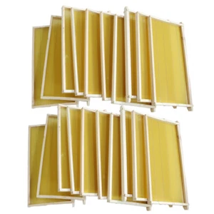20 Bee Foundation Deep Bee Hive Wax Foundation Bee Hive Frames with Wire - Picture 1 of 11