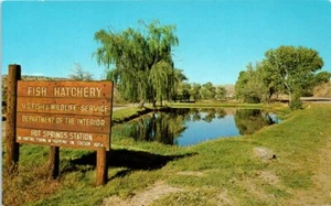 New Mexico Postcard Fish Hatchery US Fish & Wildlife T or C Elephant Butte Rez - Picture 1 of 2