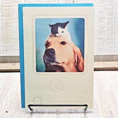 Tarjeta de notas en blanco American Greetings gato gatito en perro beige azul Foto 1 de 4