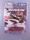 Auto World CHASE Muddin' USA R1: Lifted Muddy 1983 CHEVROLET SILVERADO K10 1:64