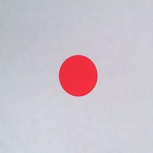 NEW Red Polarized Lens Filter for GoPro 2 HD Underwater Waterproof Diving Scuba - Picture 1 of 1