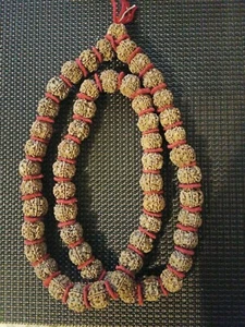 20 mm 54+1beads 5 Mukhi Rudrakchaya Jaap Mala - Picture 1 of 4