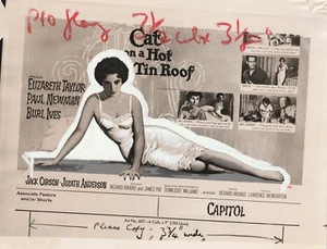 FOTOGRAFÍA ARTÍSTICA ORIGINAL GATO EN TECHO DE HOJALATA CALIENTE ELIZABETH TAYLOR PAUL NEWMAN - Imagen 1 de 1