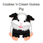 Webkinz Classic Cookies N' Cream Guinea Pig *Code Only*