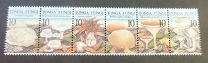 Tonga 1997 Pilze SG1409/14 18x28mm MNH UM unmontiert neuwertig - Bild 1 von 1