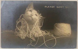 ROTOGRAFO GATTO RPPC-GATTINO BIANCO AGGROVIGLIATO IN PALLA DI CORDA-PER FAVORE NON RIMPROVERARMI - Foto 1 di 2