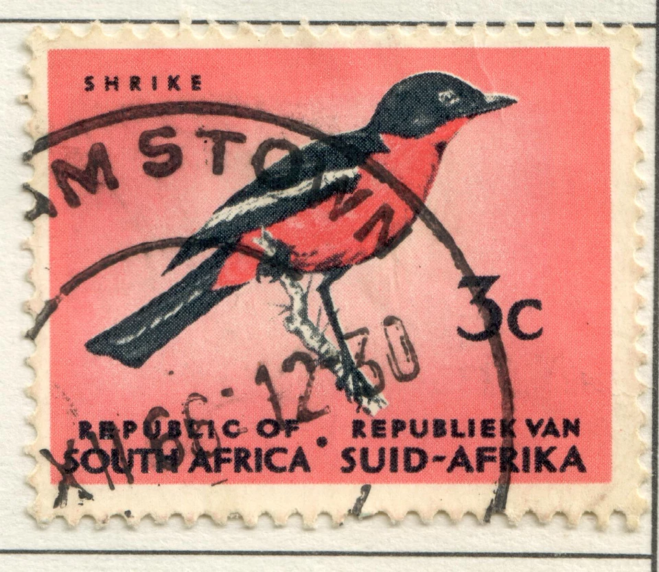 South Africa - 1961 Definitive Issue #3 - Laniarius atrococcineus - Image 1 of 1