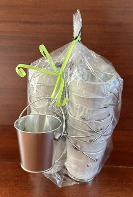 22 Cubos Pequeños de Metal Favores de Fiesta 3" Plata Cubo Planta Escuela Halloween Foto 1 de 4