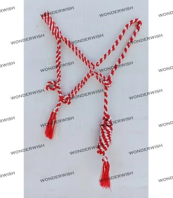 Soporte de cuerda de caballo de diseñador de nailon rojo y blanco con plomo 3 tamaños de Wonderwish Foto 1 de 4