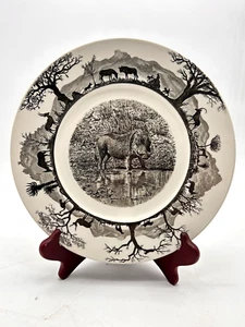 Rare Wedgwood Kruger National Park 10.75" Warthog Dinner Plate - Picture 1 of 8