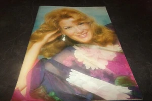 Vintage Vikki Carr Souvenir Program Gerald Ford Dean Martin Tom Jones Shamu 1972 - Picture 1 of 12