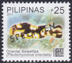 Specimen, Philippines Sc3399 Marine Life, Fish, Oriental sweetlips - Picture 1 of 1