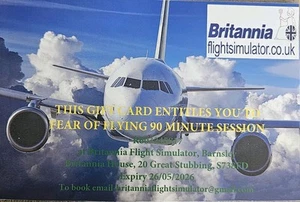 90min Flight Simulator Experience - Picture 1 of 2