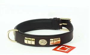 STAFFY STAFFORDSHIRE LEATHER DOG FACE COLLAR BROWN COLOUR WITH BRASS FITTING - Picture 1 of 3