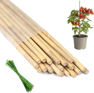 Plant Stakes 18inch, 20Pcs Natural Bamboo Sticks Garden Stakes, Plant Support S - Picture 1 of 6