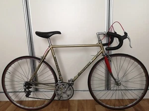 Bottecchia Campione del Mondo Rennrad Speedbike Fahrrad Campagnolo L'Eroica - Bild 1 von 18