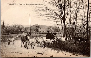 Postcard FRANCE - TALANT - Vue Sur Fontaine-les-Dijon - Goats and Donkeys - Picture 1 of 2