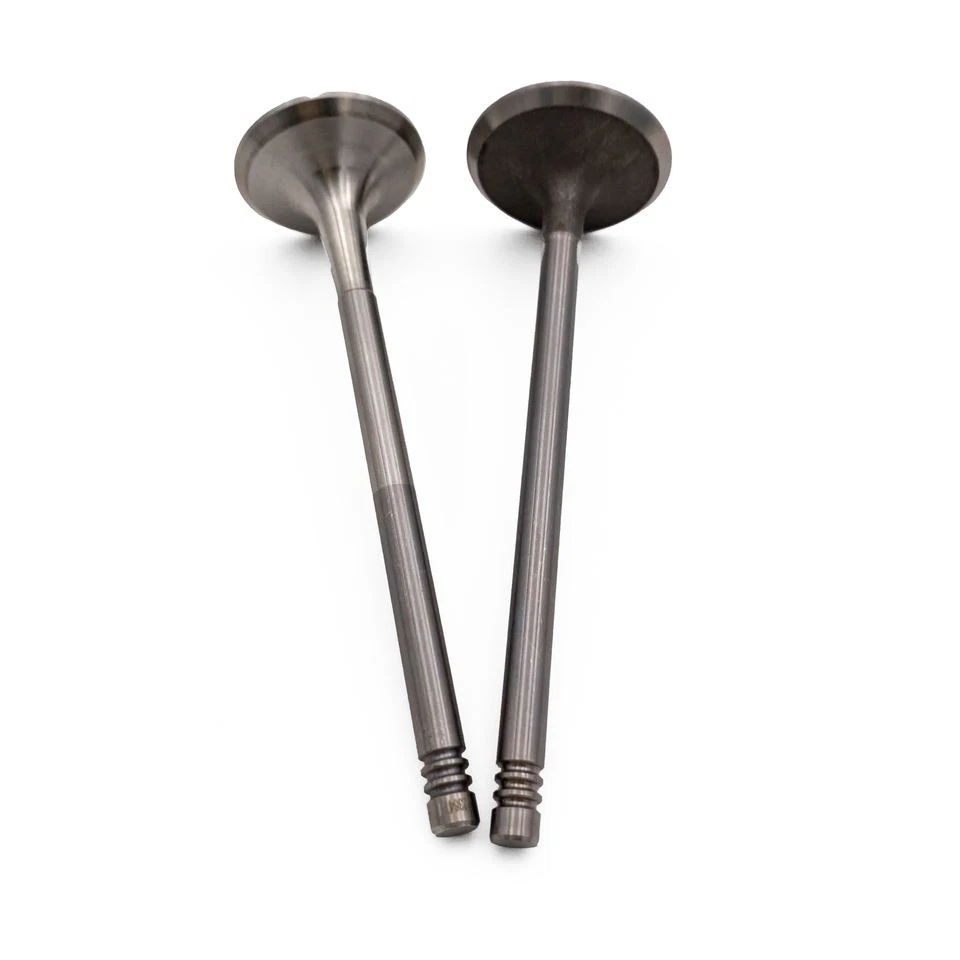 Válvulas para BMW 325i 330Ci 330i 530i M3 E36 E39 E46 E60 M52 M54 S52 Foto 1 de 1