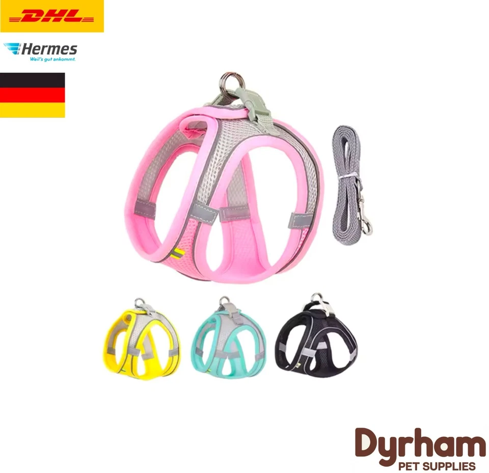 Katzengeschirr und Hundegeschirr für kleine Hunde inklusive passender Leine. - Bild 1 von 4