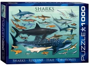 Eurographics 1000 Piece Jigsaw Puzzle - Sharks - Picture 1 of 1