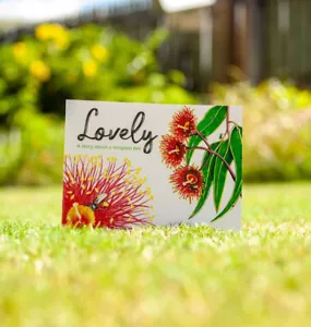 Lovely- A Story About A Stingless Bee By Melissa Ballantyne - Picture 1 of 1