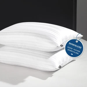 Downluxe Goose down Pillows - Set of 2 Feather Pillows, Queen Size (20"X28") - Picture 1 of 6
