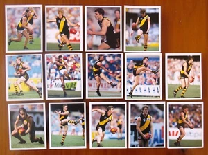 1995 SELECT AFL Sticker Lot: RICHMOND (Tigers) x 14 - Picture 1 of 2