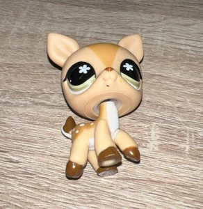 Littlest Pet Shop #634 Hirsch braun Körper grüne Blumenaugen Hasbro LPS - Bild 1 von 4
