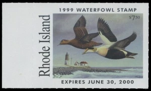 2000 Rhode Island State Duck Stamp Mint Never Hinged. Original Gum - Picture 1 of 1