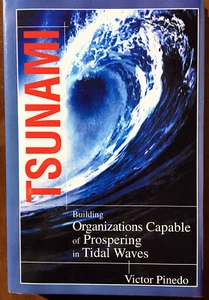 TSUNAMI Victor Pinedo Hardcover HC DJ LIKE NEW 2004 - Imagen 1 de 12