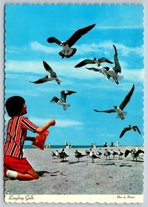 Postcard Florida Child Feeding Laughing Gulls 22D - Picture 1 of 2