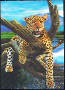 3 D Lenticular Wildlife Gepard Stereo Big Postcard New - Picture 1 of 2