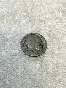 1913-S Indian Head Buffalo on Mound Type I Nickel Album Filler (no date) - Bild 1 von 3