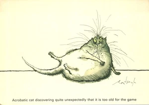Acrobatic Cat Discovering Its Too Old for the Game R Searle 1981 Postcard - Picture 1 of 2