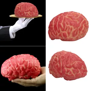 Bloody Zombie Fake Human Brain Chop Shop Body Part Horror Prop Organ P7S6 - Picture 1 of 12