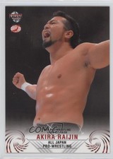 2008-09 BBM Pro Wrestling All Japan Akira Raijin #10