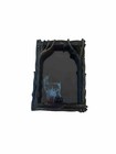 Loot Crate Wizarding World of Harry Potter Expecto Patronum Picture Frame 5x7 In