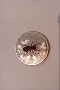5€-Sondermünze Hirschkäfer 2024, Prägeanstalt D, unzirkuliert - Bild 1 von 2