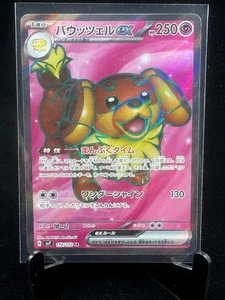 Dachsbun Ex SR 119/102 Pokemon sv7 Stellar Miracle Japanese Scarlet & Violet (1) - Picture 1 of 3