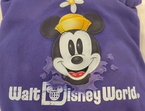 Walt Disney World Minnie Mouse Purple Hooded Sweatshirt Size Large - Picture 1 of 7