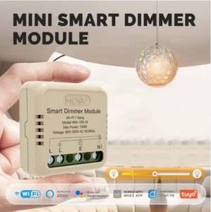 WiFi Smart Dimmer Schalter Modul Timer DIY Schutzschalter 2 Gang - Bild 1 von 6