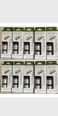 Paquete de 10 aceites esenciales de eucalipto SpaRoom vigorizantes 100 % puro 0,33 fl oz (10 ml) Foto 1 de 3